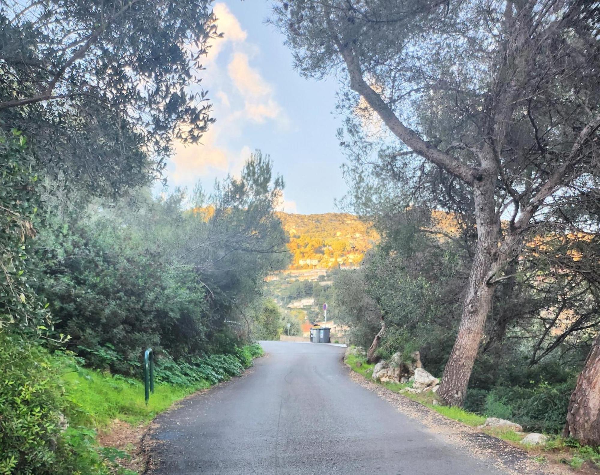Le Mas D'Angeline, Vue Mer, Jardin Commun, Parking, Voiture Requise, 10 Min En Voiture De Monaco, Route Etroite, Pente Raide, Croisement Limite, Sea View, Shared Garden, Parking, Car Required, 10 Min Drive From Monaco, Narrow Steep Road, Limited Pass 보솔레이 외부 사진
